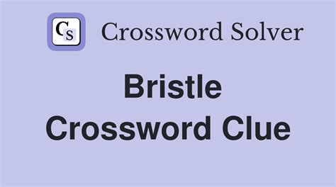 crossword clue bristle|bristle crossword clue dan word.